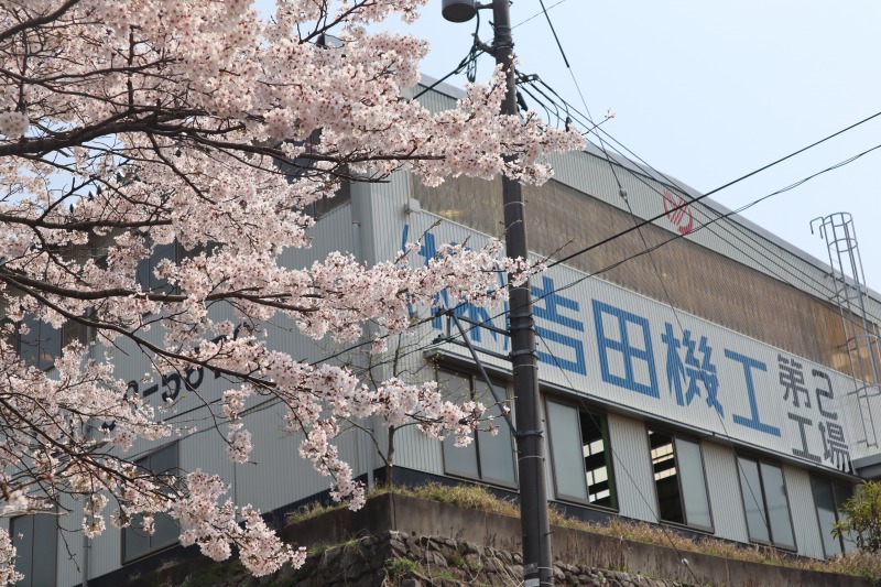 工場横の桜が咲きました🌸
